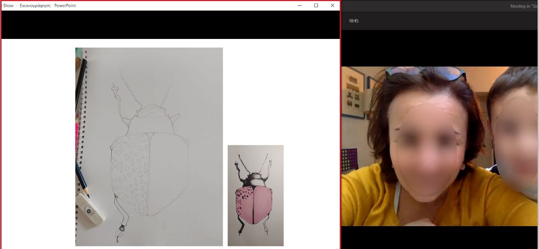 “Sea Bass” Section Discovers What an Illustrator Does