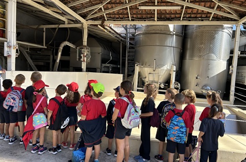Grade 1 of Psychico College Elementary School Visits Zachaios Estate (Patitiri Zachaios)