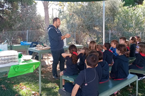 Psychico College Grade 1 students learn about the olive