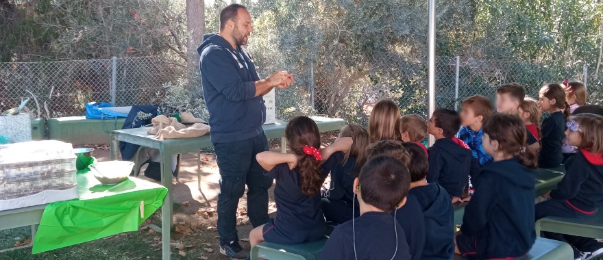 Psychico College Grade 1 students learn about the olive