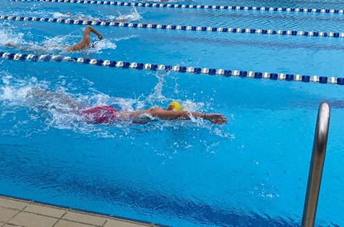 A.S.I.S. Swimming Championships