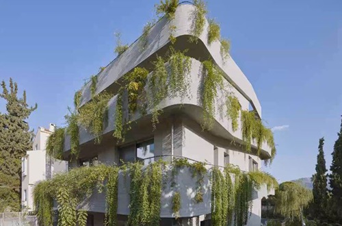 “Sea Bream” Section Investigates Green Architecture