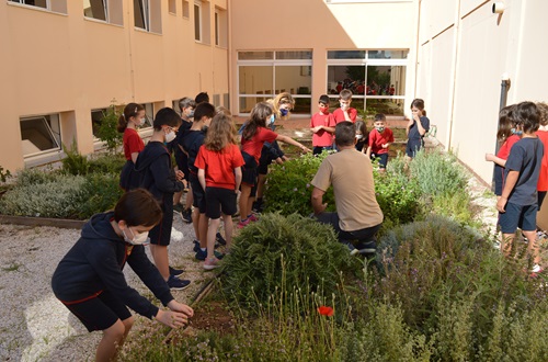 Environmental Education Workshops at Psychico College Elementary School