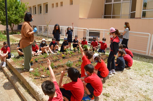 Psychico College Elementary School 1st and 2nd Graders Become “Young Gardeners” for an Hour