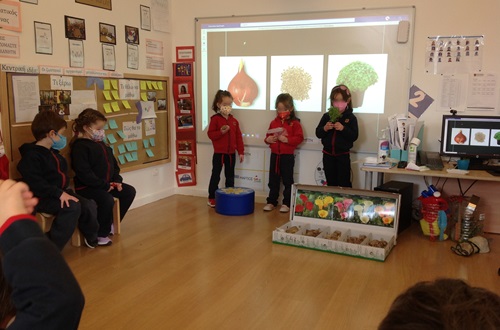 The Coral class makes an inquiry into plants