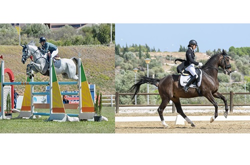 PanHellenic Equestrian Championships