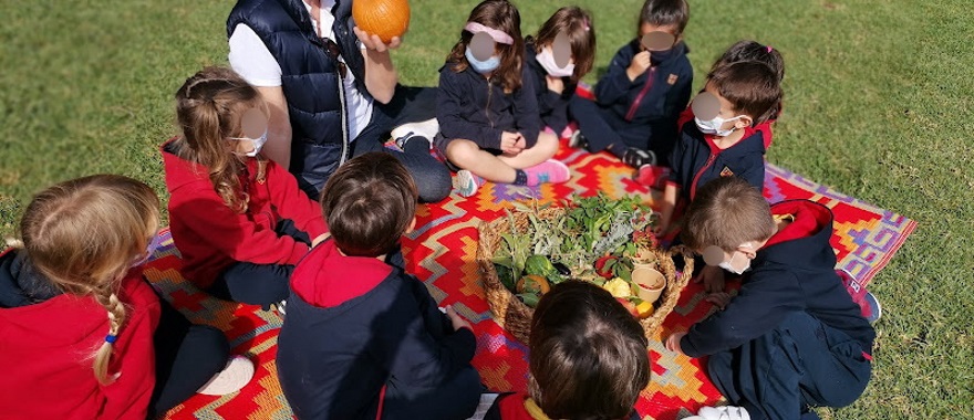 A visit to the Oasis Activity Farm Park