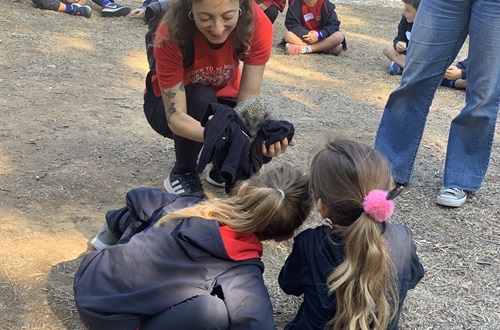 Kindergarten students visit the Aesthetic Forest of Ymittos
