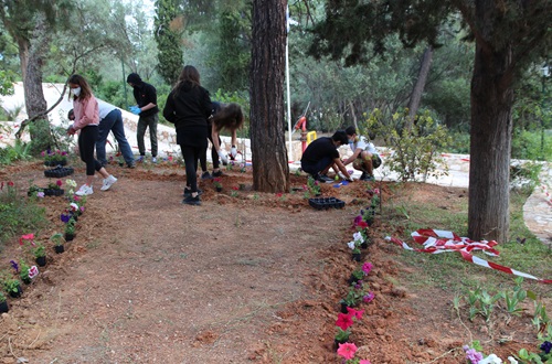 Planting Flowers on Campus