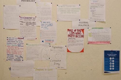 IB DP Year 2 - Εκπαιδευτική δράση και παρουσίαση του Εκτεταμένου Δοκιμίου